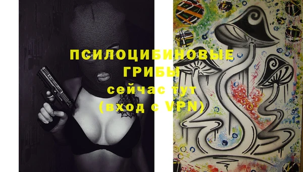 меф Заводоуковск