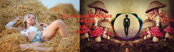 ПСИЛОЦИБИНОВЫЕ ГРИБЫ Алзамай